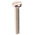RS PRO Slot Pan Brass Machine Screws DIN 85, M5x30mm
