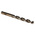DeWALT DT50 Series HSS-R Twist Drill Bit, 12mm Diameter, 151 mm Overall