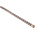 DeWALT DT95 Series Hardened Steel Body; Carbide Tipped SDS Plus Drill Bit for Masonry, 10mm Diameter, 210 mm Overall