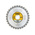 DeWALT Circular Saw Blade