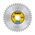DeWALT Circular Saw Blade
