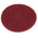 Norton SelfGrip Aluminium Oxide Surface Conditioning Disc, 127mm, Medium Grade, Rapid Blend, 5 in pack