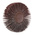 3M Aluminium Oxide Flap Wheel, 60mm Diameter, P40 Grit