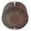 3M Aluminium Oxide Flap Wheel, 80mm Diameter, P60 Grit