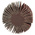3M 7000074905 Aluminium Oxide Flap Wheel, 30mm Diameter, P60 Grit