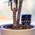 Kitronik Prong Soil Moisture Sensor For The BBC micro:bit