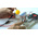Micro:bit Starter Kit