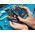Arduino, GIGA Display Shield