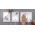 Bare Conductive SKU-1107, Electric Paint Lamp Kit