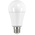 Orbitec E27 LED GLS Bulb 13 W(100W), 2700K, Warm White, GLS shape