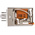 Finder Plug In Power Relay, 110V ac Coil, 10A Switching Current, DPDT