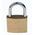 RS PRO Key Padlock, Keyed Alike, 3mm Shackle, 20mm Body