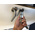 ABUS Brass Euro Cylinder Lock, 30/40 mm (30/40mm)