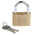 RS PRO Key Weatherproof Brass Padlock, 7mm Shackle, 50mm Body