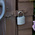 YALE Padlock Brass Padlock, 7mm Shackle, 50mm Body