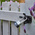 YALE Padlock Brass, Steel Steel Padlock, 6mm Shackle, 47mm Body
