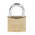ABUS Key Weatherproof Brass, Steel Padlock, Keyed Alike, 6mm Shackle, 65mm Body