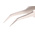 CK 105 mm, Stainless Steel, Tweezers