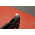 RS PRO Threaded Insert Tool, includes Mandrel, Nose Pieces M6 to M3