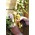 Stanley FMHT0-70411 6 → 14mm Staple Gun