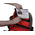 CK Polyester Backpack with Shoulder Strap 380mm x 250mm x 420mm