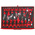 Teng Tools 1117 Piece Automotive Tool Kit Tool Kit with Foam Inlay, VDE Approved
