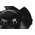 ebm-papst A2E170 Series Axial Fan, 230 V ac, AC Operation, 480m³/h, 53W, 230mA Max, IP44, 170 x 63mm