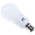 B22 Oval Shape CFL Bulb, 15 W, 2700K, Warm White Colour Tone
