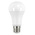 SHOT E27 GLS LED Bulb 21 W(150W), 2700K, Warm White, Bulb shape
