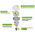 Seeit E27 E27 GLS LED Bulb 12 W(12W), 3000K, Warm White, Round shape