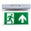 RS PRO LED Emergency Lighting, 4 W, Maintained