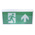 RS PRO LED Emergency Lighting, Bulkhead, 3 W, Maintained