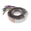 Nuvotem Talema 115 V ac, 230 V ac, 2 x 12V ac Toroidal Transformer, 80VA 2 Output