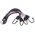 RS PRO 4 Hooks Bungee Cord, 600mm Long, 8 mm Diameter