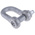 RS PRO D-Shackle, Stainless Steel, 2.5t