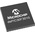 Microchip DSPIC30F3010-30I/SP, 16bit dsPIC Microcontroller, dsPIC30F, 25MHz, 24 kB Flash, 28-Pin SPDIP