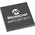 Microchip DSPIC30F3011-30I/P, 16bit dsPIC Microcontroller, dsPIC30F, 25MHz, 24 kB Flash, 40-Pin PDIP
