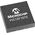 Microchip PIC12F1572-E/MS, 8bit PIC Microcontroller, PIC12F, 32MHz, 2 kwords Flash, 8-Pin MSOP