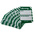 Brady White on Green Safety Inspection Tag, English Language, 20 per Pack