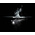 LEDLENSER P6R LED Torch - Rechargeable 850 lm