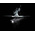 LEDLENSER P7R LED Torch - Rechargeable 1200 lm