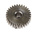 RS PRO Steel 30 Teeth Spur Gear, 0.5 Module, 4mm Bore Diam, 15mm Pitch Diam, 9mm Hub Diam