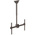 StarTech.com Ceiling Mounting Monitor Arm for 1 x Screen, 75in Screen Size