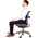 Fellowes Black Foam Back Support