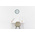 Orium Green Analog Wall Clock, 300mm Diameter