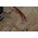 RS PRO 96dB Panel Mount Continuous Internal Piezo Buzzer, 41.8 x 16mm, 1.5V dc Min, 20V dc Max