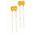 RS PRO 150pF Mica Capacitor 500V dc ±1% Tolerance Radial