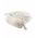 Ecospill Ltd Boom Spill Absorbent, 262 L Capacity, 2 per Pack