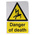 RS PRO Self-Adhesive General Hazard Hazard Warning Sign (English)