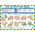 How to Wash Your Hands Guidance Safety Poster, Semi Rigid Laminate, English, 420 mm, 590mm